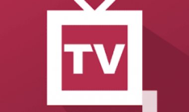TV + ЦТВшка